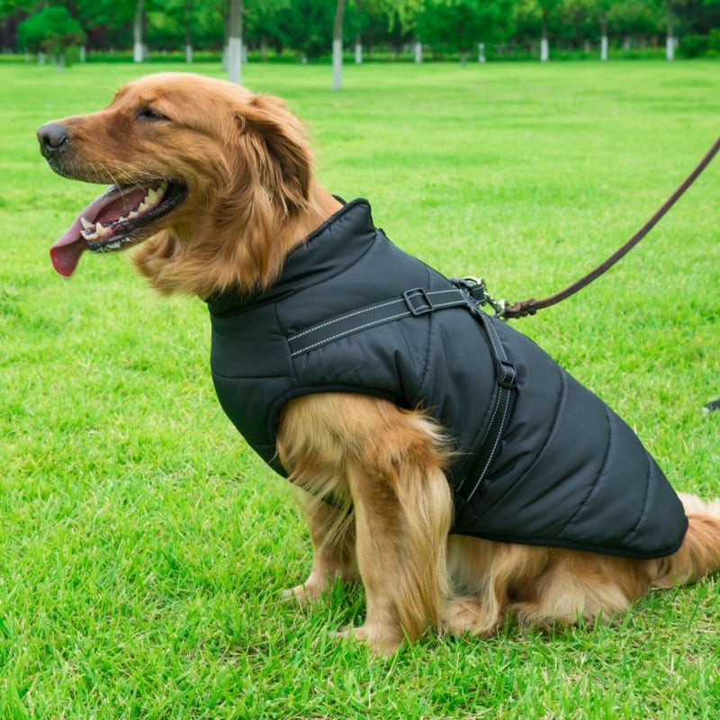 MYVIPCART™ Pet Dog jacket With Harness