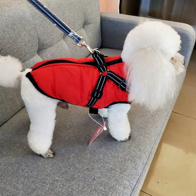 MYVIPCART™ Pet Dog jacket With Harness