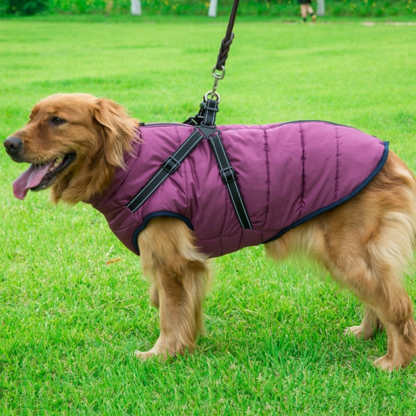 MYVIPCART™ Pet Dog jacket With Harness