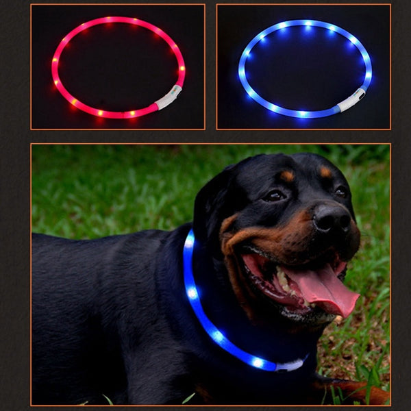 MyVIPCart™ Luminous Pet Collar